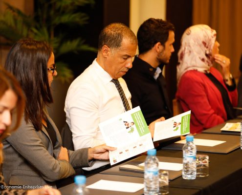 EE Live - Maroc Afrique partenariat Agricol - KARIM CHIOUAR, DG HOLMARCOM
